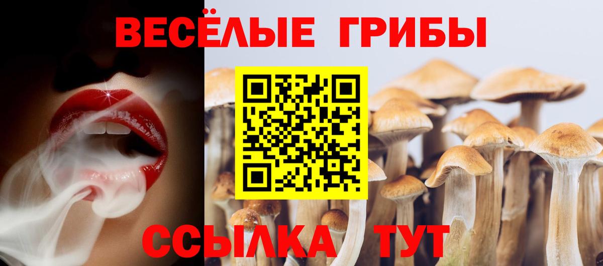 Псилоцибиновые грибы Cubensis  Псилоцибиновые грибы Psilocybine cubensis  Елизово  Вход с VPN 