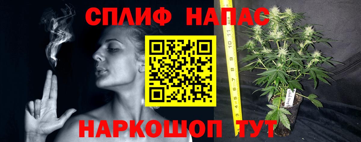 Елизово  Бошки Шишки THC 21%  Конопля сатива  Вход с VPN  Канабис MAZAR 